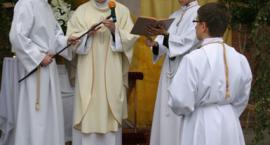 zdjęcie nr 31