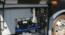 Fotka nr 4 z 13