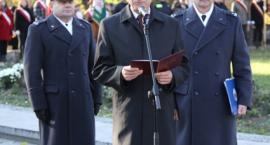 zdjęcie nr 16