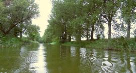 Fotka nr 1 z 6