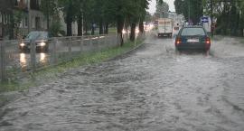 zdjęcie nr 8