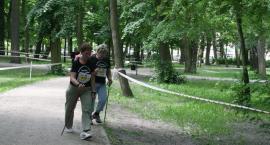 zdjęcie nr 75