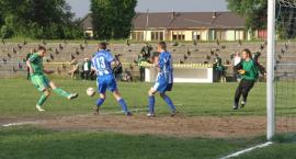 zdjęcie nr 12