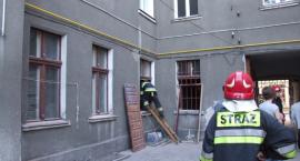 Fotka nr 5 z 9