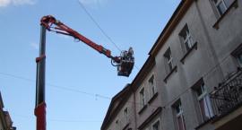 zdjęcie nr 9