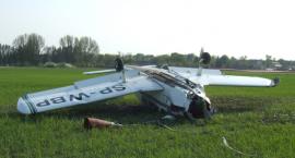 Fotka nr 2 z 6
