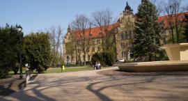 zdjęcie nr 10