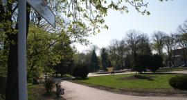 zdjęcie nr 8