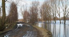 zdjęcie nr 9