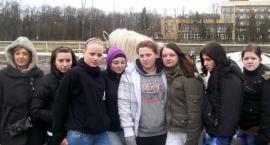 Fotka nr 2 z 10