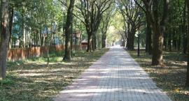 zdjęcie nr 28