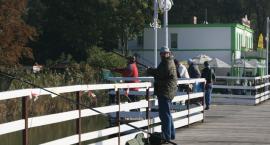 Fotka nr 5 z 12