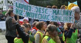 zdjęcie nr 7