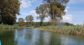 zdjęcie nr 19
