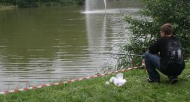 zdjęcie nr 16