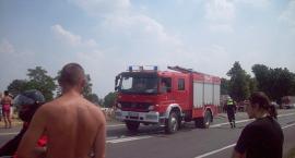 Fotka nr 1 z 16