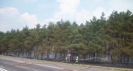 zdjęcie nr 9