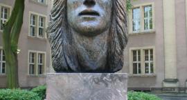 zdjęcie nr 19