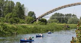 zdjęcie nr 7