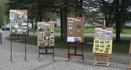 zdjęcie nr 18