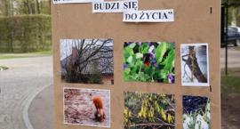 Fotka nr 5 z 22