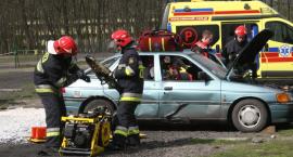 zdjęcie nr 9