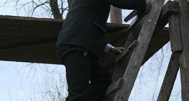 zdjęcie nr 13