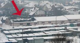 zdjęcie nr 8