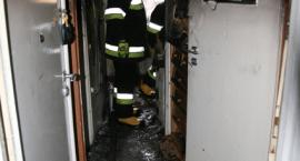 Fotka nr 5 z 22