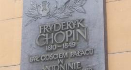 zdjęcie nr 10