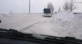 zdjęcie nr 8