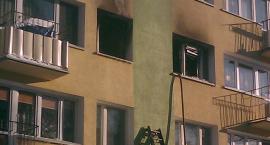 Fotka nr 1 z 10