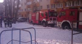 Fotka nr 2 z 10