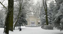 zdjęcie nr 16