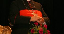 zdjęcie nr 21