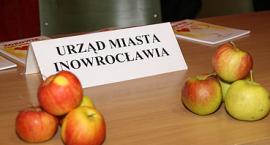 zdjęcie nr 12