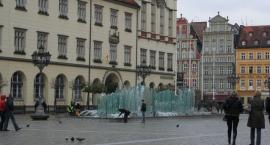 zdjęcie nr 34