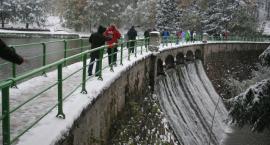 zdjęcie nr 7