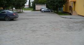 Fotka nr 4 z 5