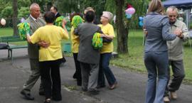 zdjęcie nr 7