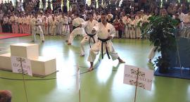 Fotka nr 1 z 8
