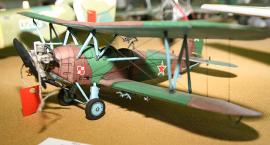 Fotka nr 4 z 44