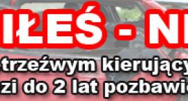 Fotka nr 5 z 6