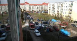 zdjęcie nr 13