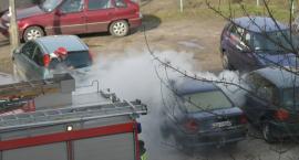 Fotka nr 2 z 14