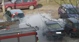 Fotka nr 3 z 14