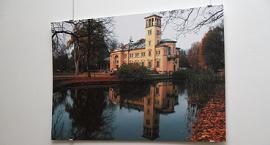 zdjęcie nr 8