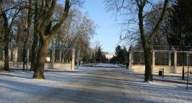 zdjęcie nr 8