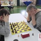 zdjęcie nr 15