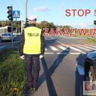 zdjęcie nr 14